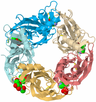 Image Biological Unit 2