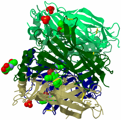 Image Biological Unit 4