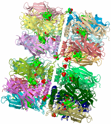 Image Asym. Unit - sites