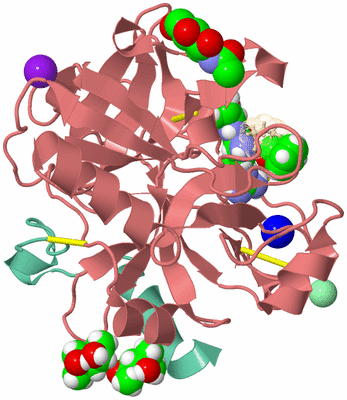 Image Asym./Biol. Unit