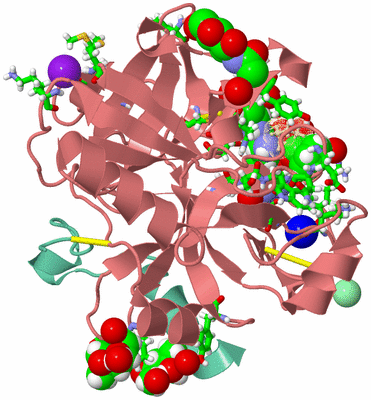 Image Asym./Biol. Unit - sites