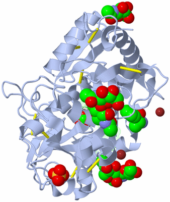 Image Asym./Biol. Unit