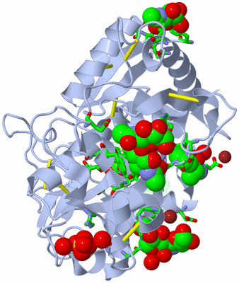 Image Asym./Biol. Unit - sites