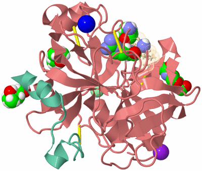 Image Asym./Biol. Unit