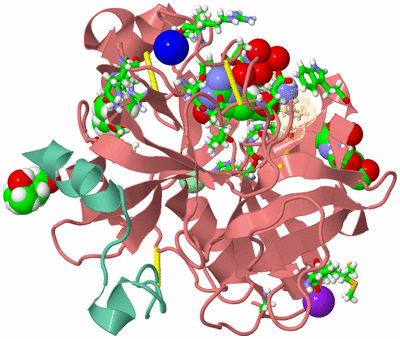 Image Asym./Biol. Unit - sites