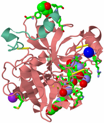 Image Asym./Biol. Unit - sites