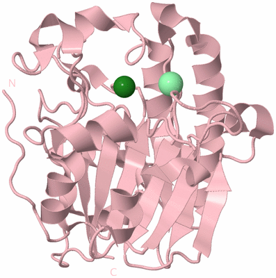 Image Biological Unit 3