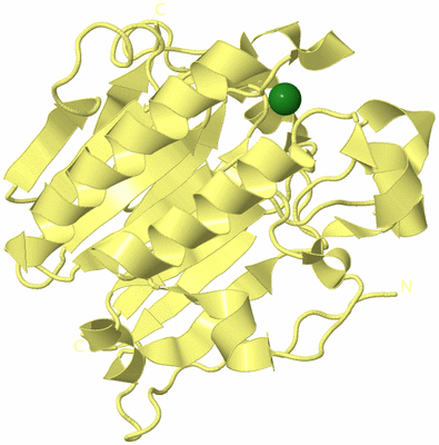 Image Biological Unit 4