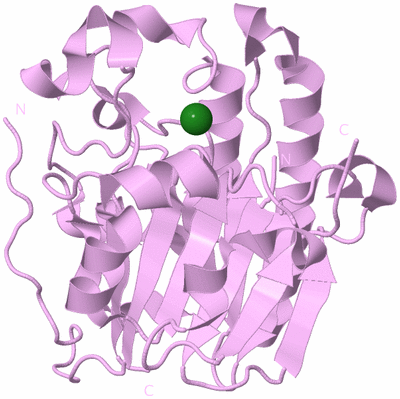 Image Biological Unit 5