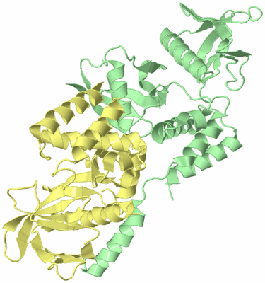 Image Biological Unit 2