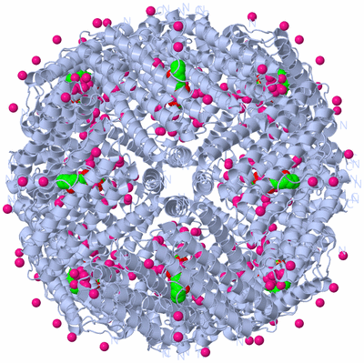 Image Biological Unit 2