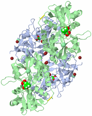 Image Biological Unit 1