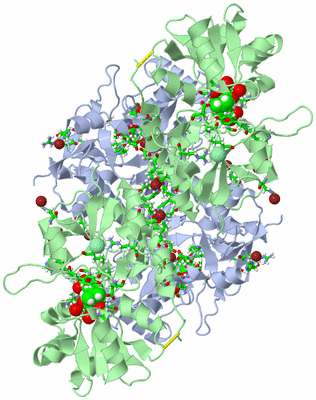 Image Biol. Unit 1 - sites