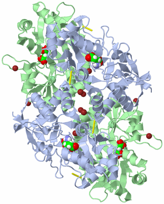 Image Biological Unit 1