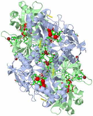 Image Biol. Unit 1 - sites