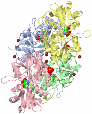 Image Biological Unit 1