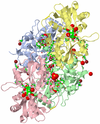 Image Biol. Unit 1 - sites