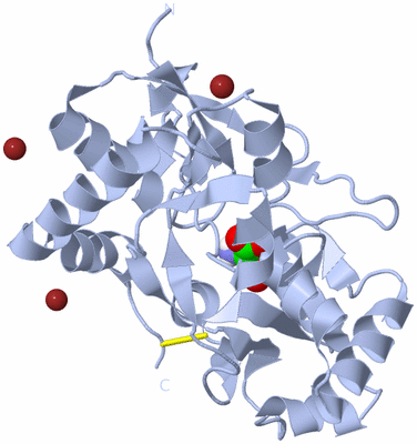 Image Biological Unit 2