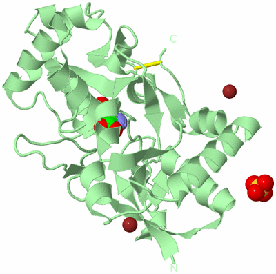 Image Biological Unit 3