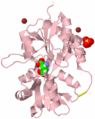 Image Biological Unit 4