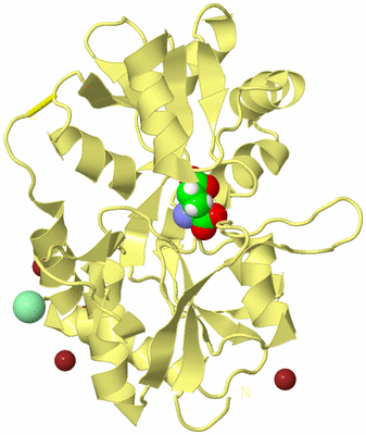 Image Biological Unit 5