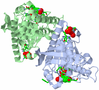 Image Biol. Unit 1 - sites