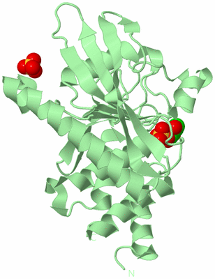 Image Biological Unit 3