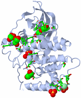 Image Biol. Unit 1 - sites