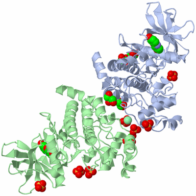 Image Biological Unit 3