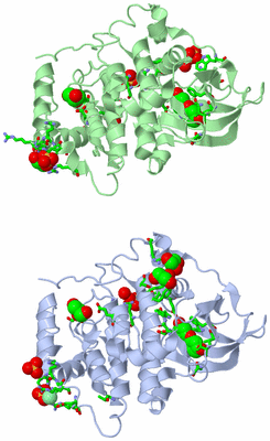 Image Asym. Unit - sites