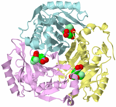 Image Biological Unit 2