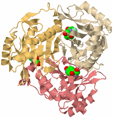 Image Biological Unit 3