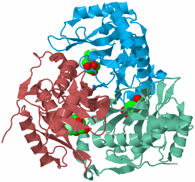 Image Biological Unit 4