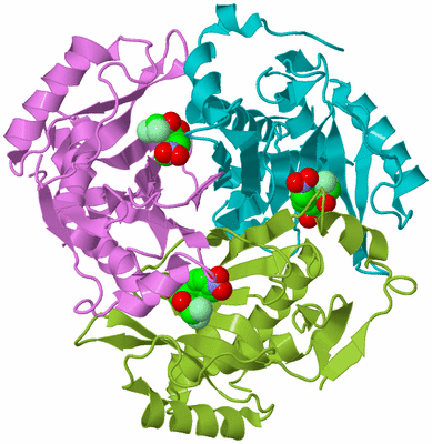 Image Biological Unit 5