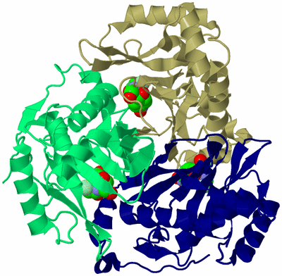 Image Biological Unit 6