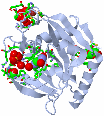 Image Biol. Unit 1 - sites