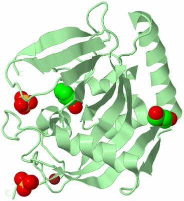 Image Biological Unit 2