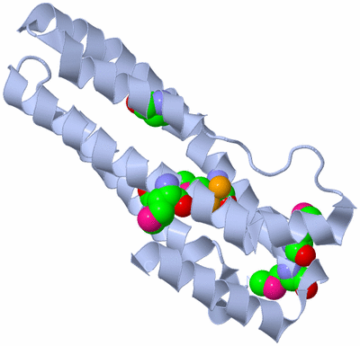 Image Biological Unit 1