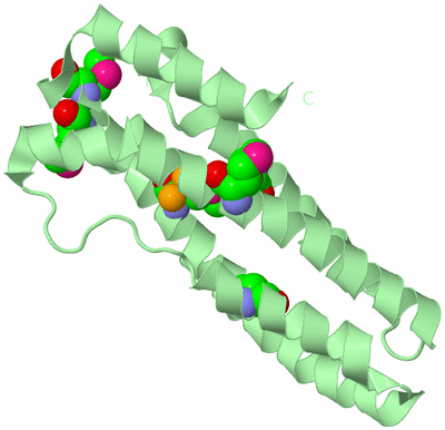 Image Biological Unit 2