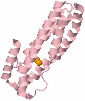 Image Biological Unit 2