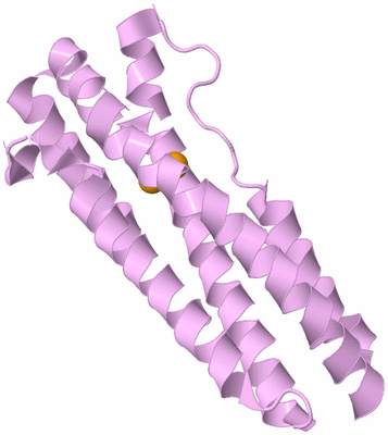 Image Biological Unit 3