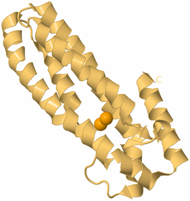 Image Biological Unit 4