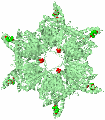 Image Biological Unit 1