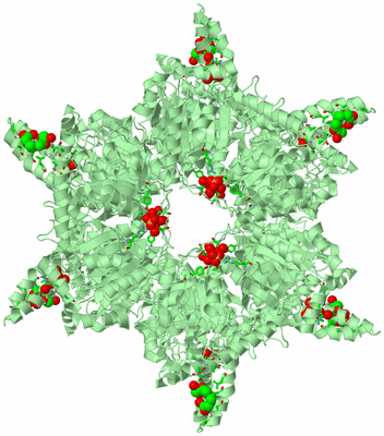 Image Biol. Unit 1 - sites