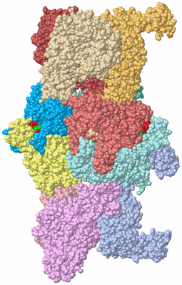 Image Asym./Biol. Unit