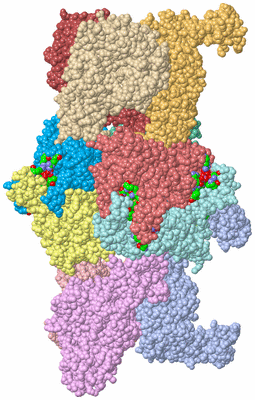 Image Asym./Biol. Unit - sites