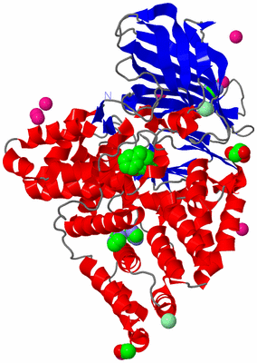 Image Asym./Biol. Unit