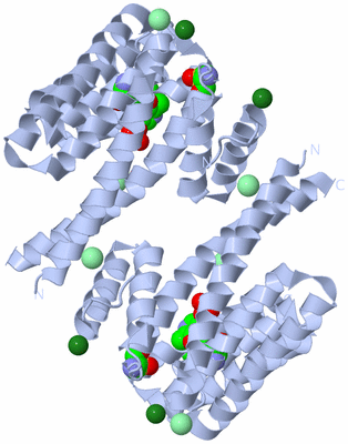 Image Biological Unit 1