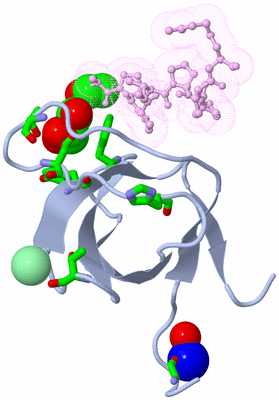 Image Biol. Unit 1 - sites