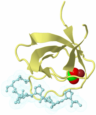 Image Biological Unit 2